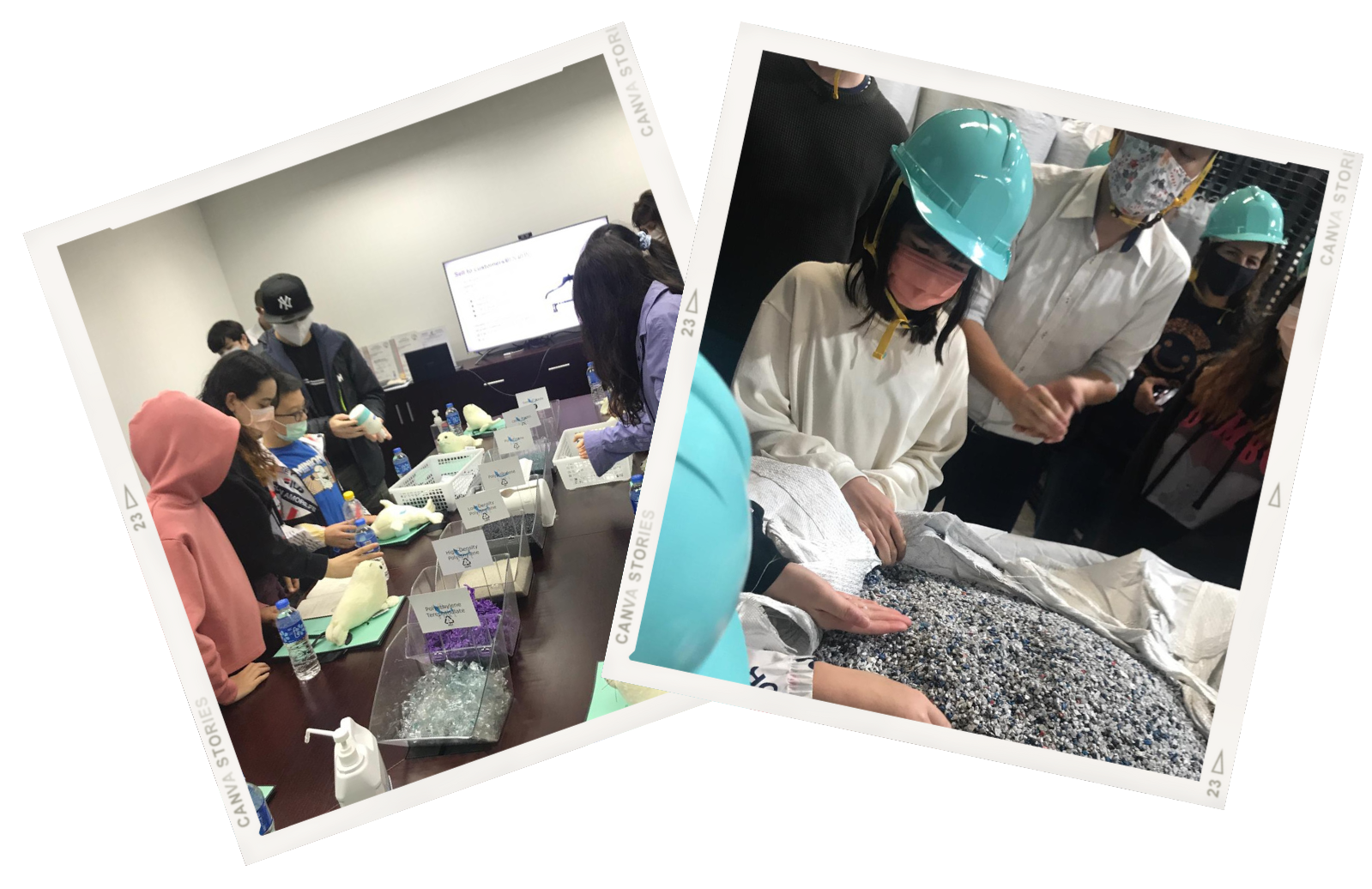 Learn More Bloom Academy